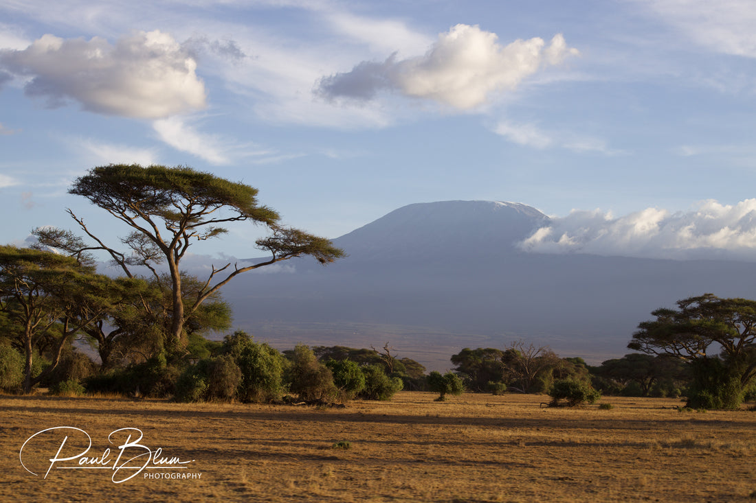 Kilimanjaro landscape