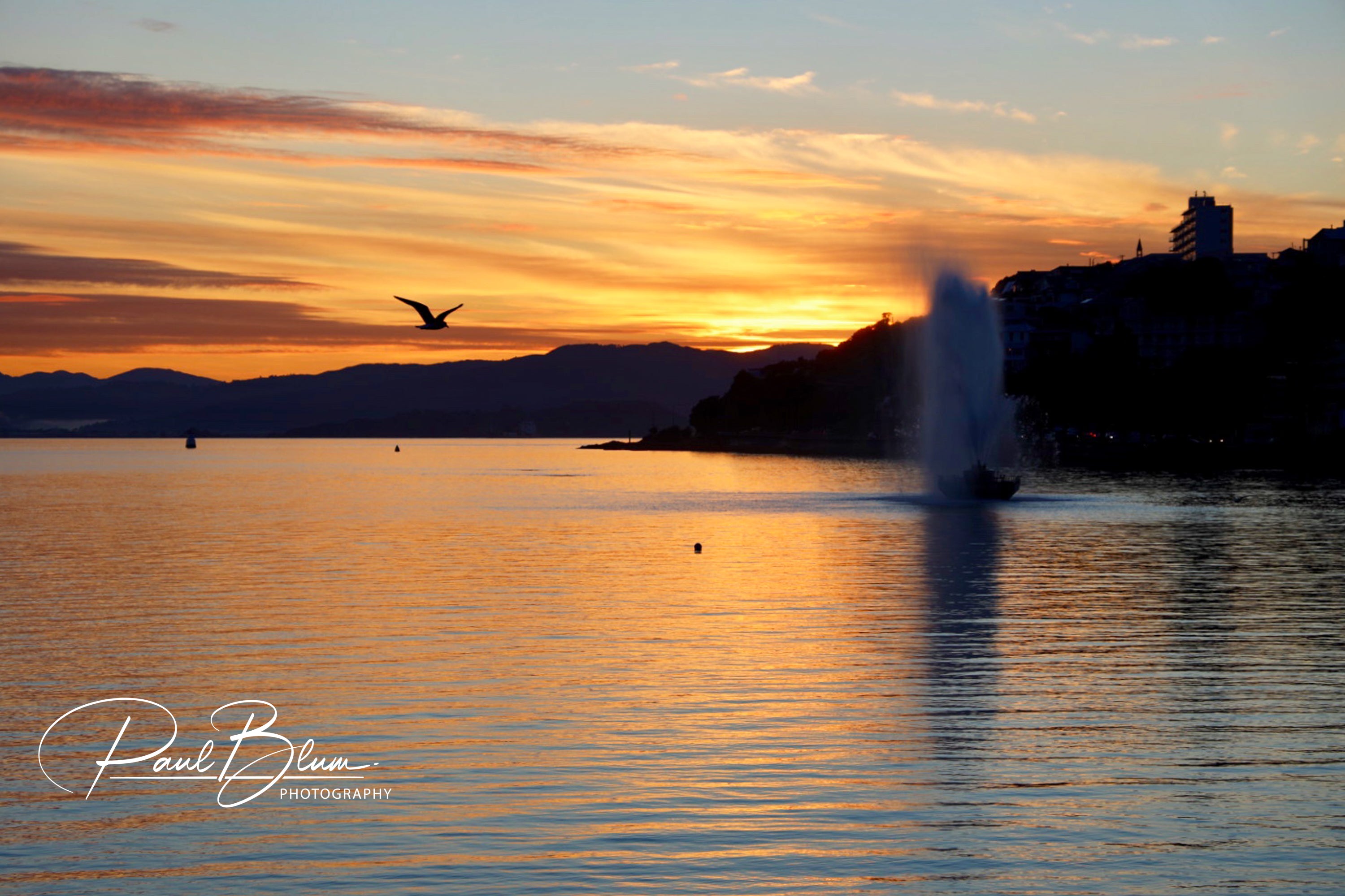 Early morning light illuminates Oriental Bay in Wellington, with a waterfront fountain and a bird flying against a backdrop of a vibrant sunrise sky and calm sea.