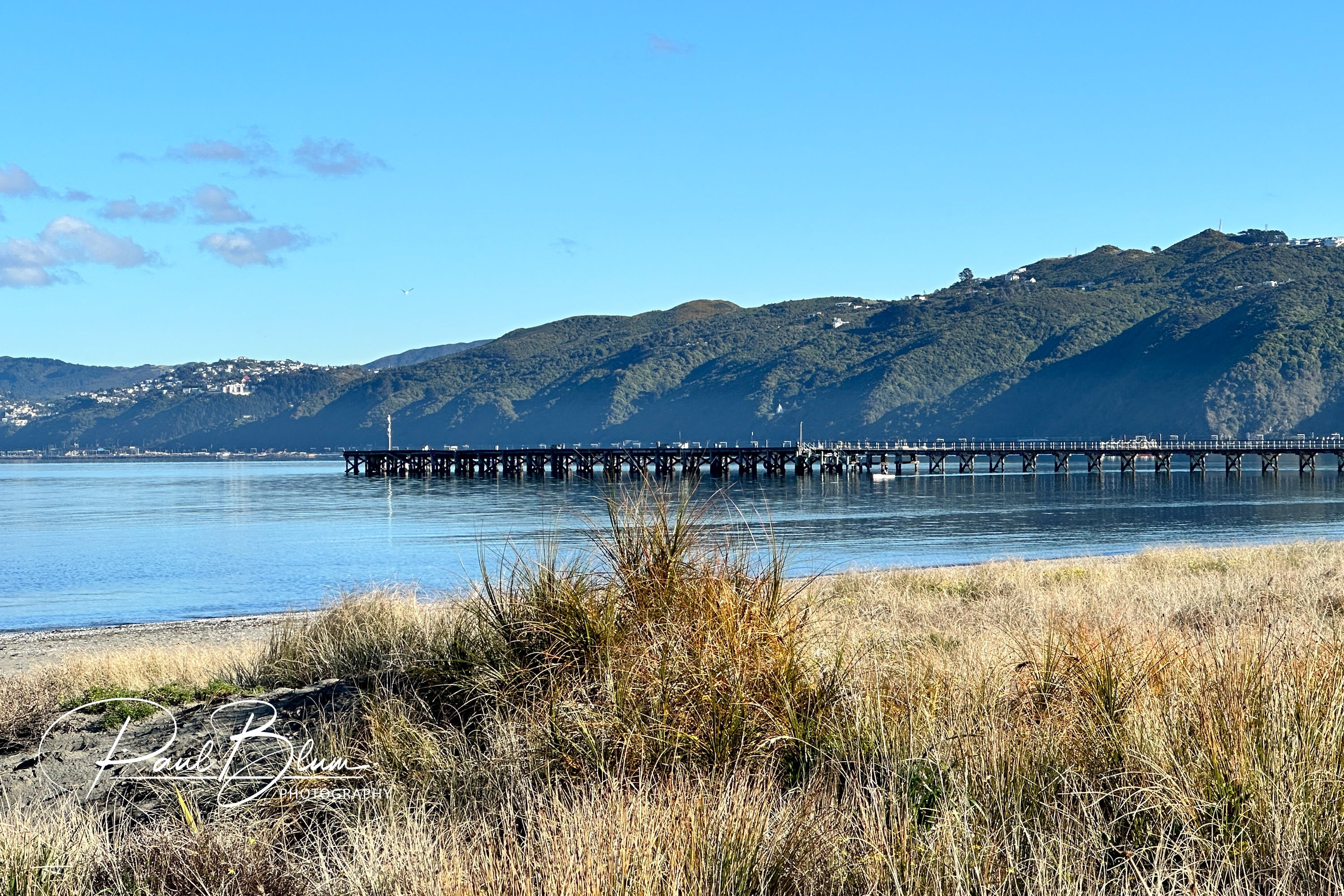 Sunny day at Petone Wharf in Wellington, New Zealand, with the wooden pier reaching into the calm blue waters of the harbour, framed by grassy dunes and distant hills.