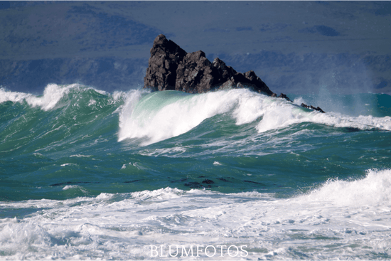 South Coast -  by BLUMFOTO - Africa, Birds, Cityscapes, Coastal, Creative, Food Art, Great Outdoors, India, Landscapes, Lifestyle, Nature, New Zealand, Travel, Urban, Wellington, Wildlife