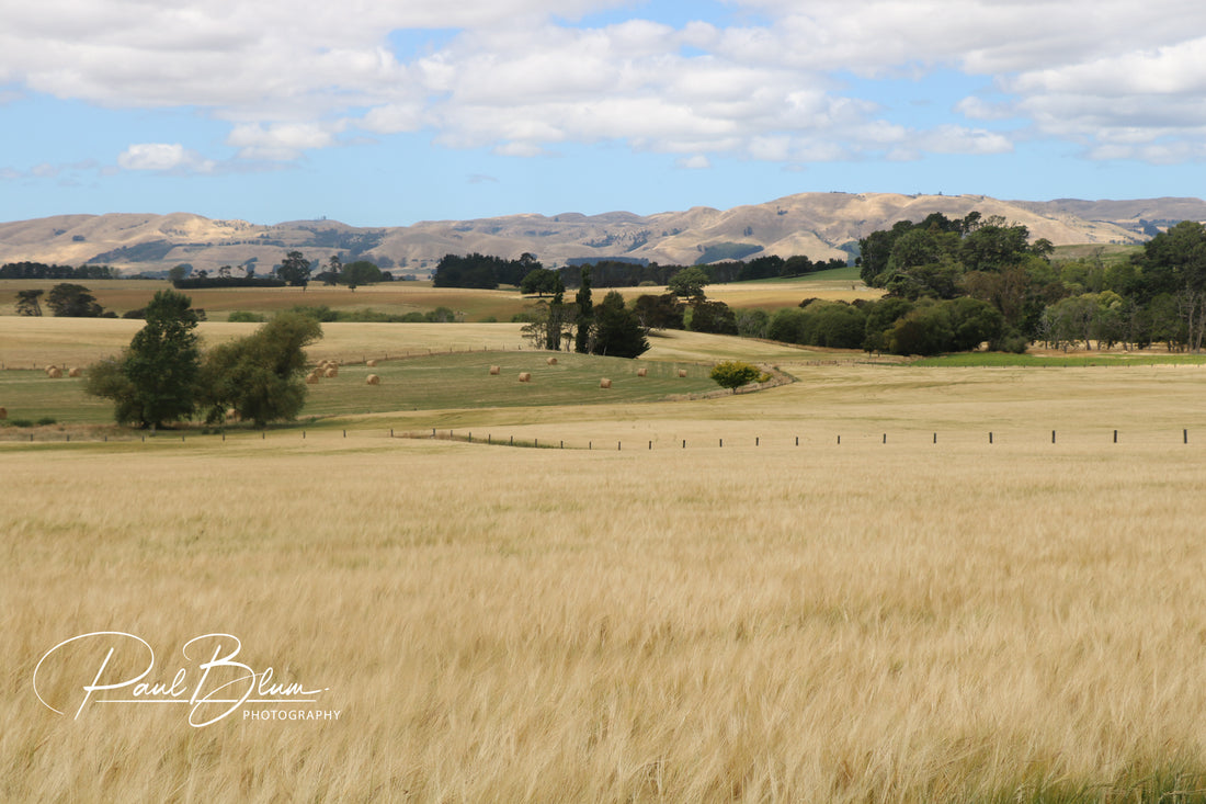 Peaceful Wairarapa Plains