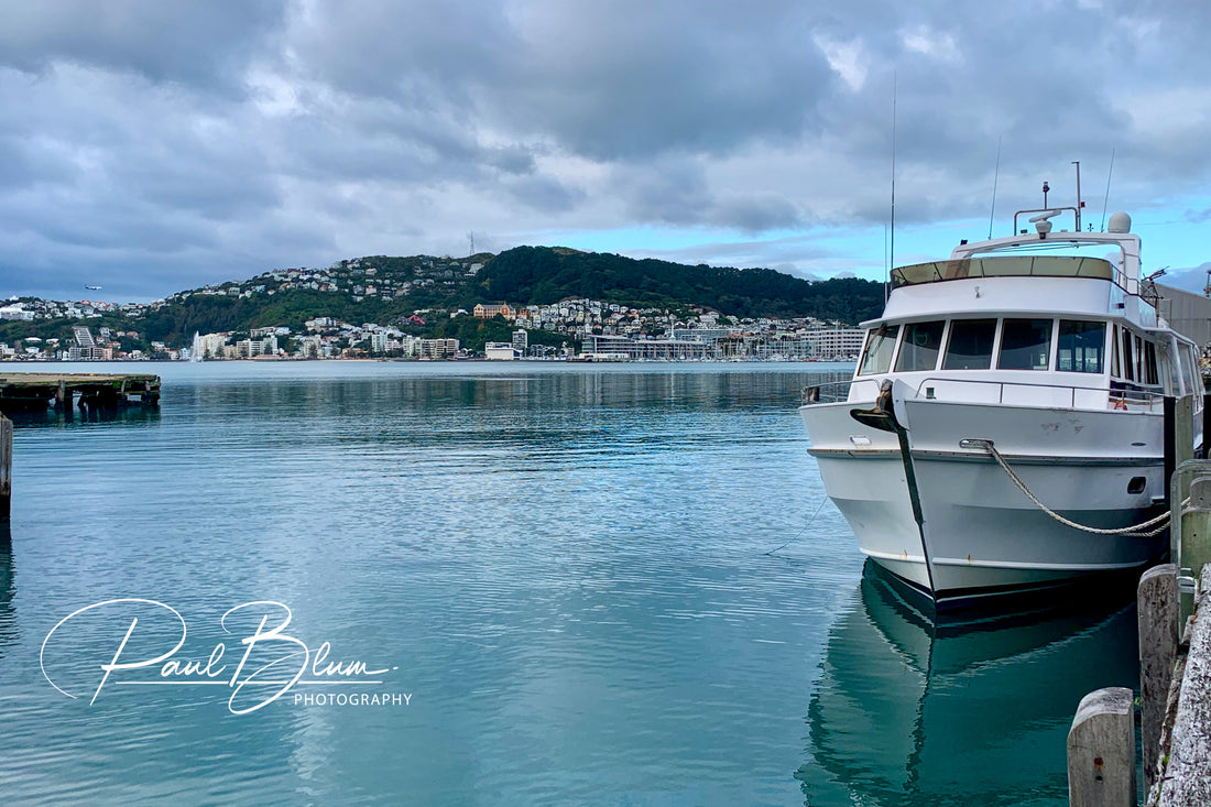 Harbour reflections