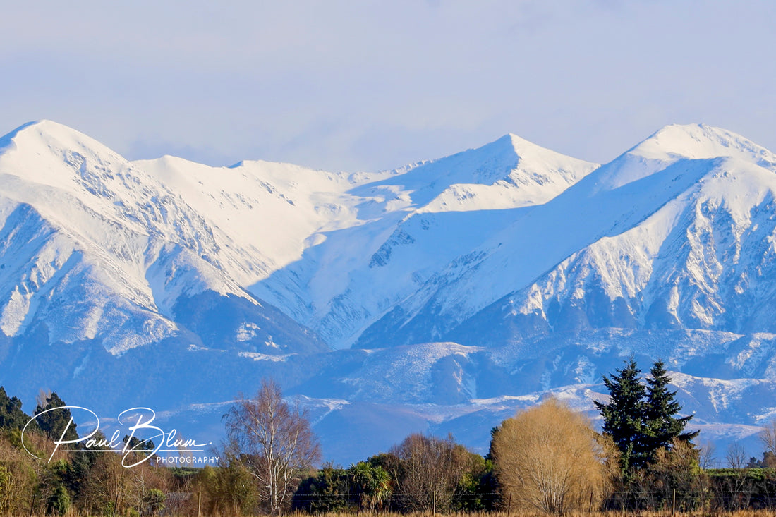 A stunning view of snow-capped mountains with trees in the foreground, captured by Paul Blum Photography.